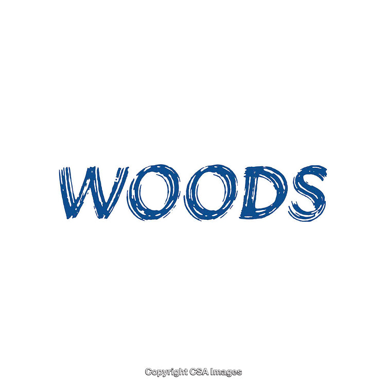Hand-Drawn Style Blue Text 'Woods' on White Background