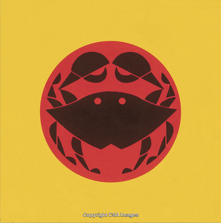 Minimalist Illustration of a Crab in Red and Yellow with Geometric Design