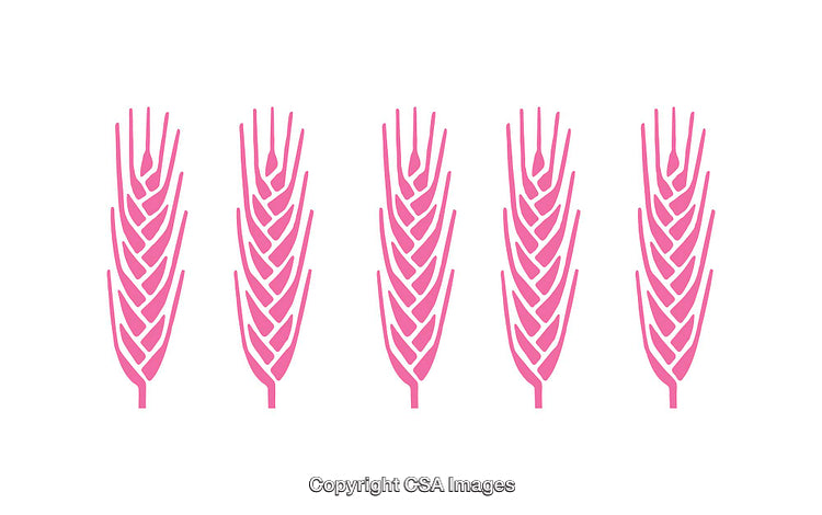 Pink Icons of Cereal Grain Ears in a Stylized Design