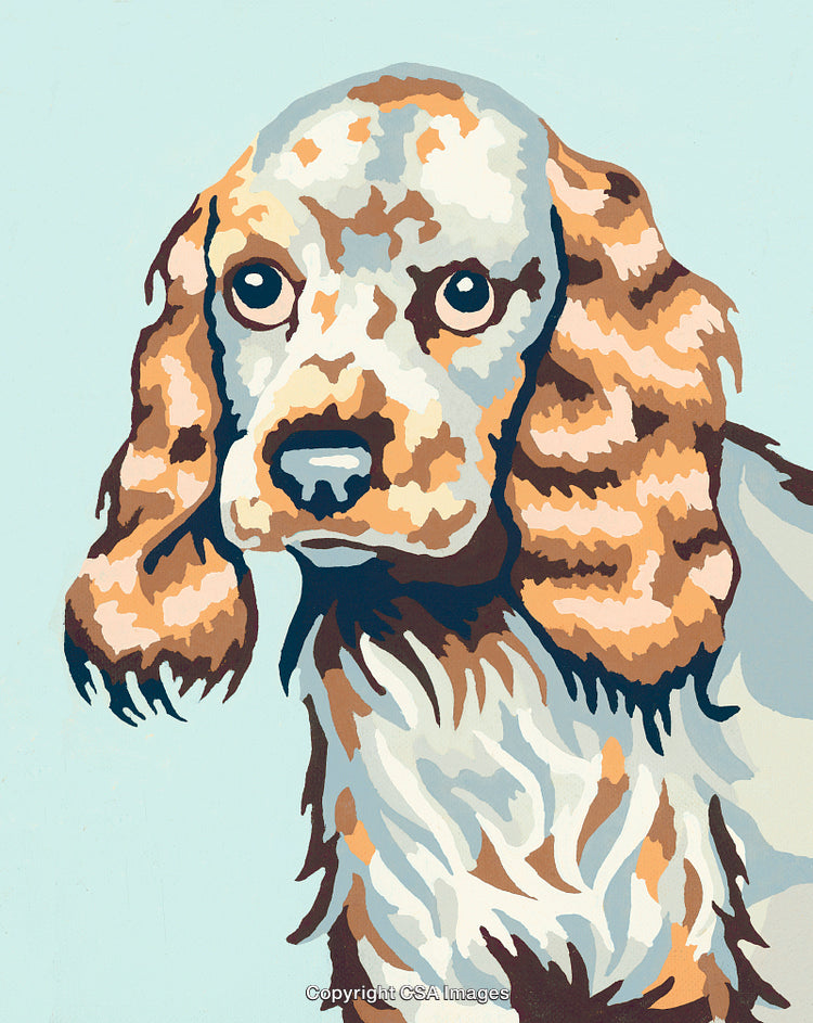 Colorful Paint By Number Illustration of a Dog With Long Ears in Profile
