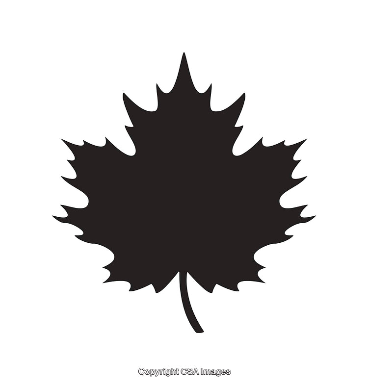 Black and White Silhouette of a Maple Leaf Design