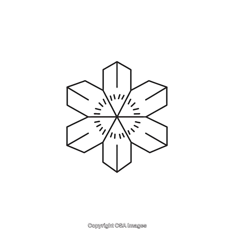 Black and White Geometric Star Pattern With Symmetrical Design Elements