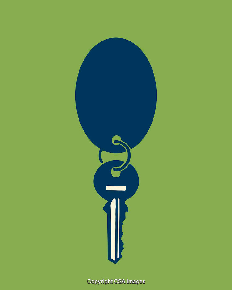 Blue Silhouette Key with Keyring on a Green Background