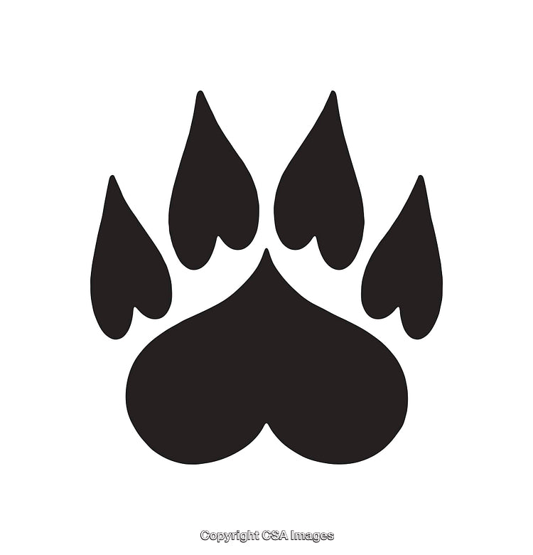 Black and White Paw Print Icon with Stylish Design