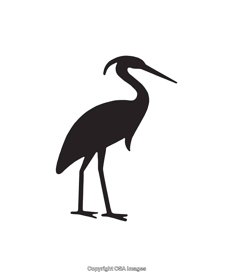 Silhouette Icon of a Bird in Profile Standing Position