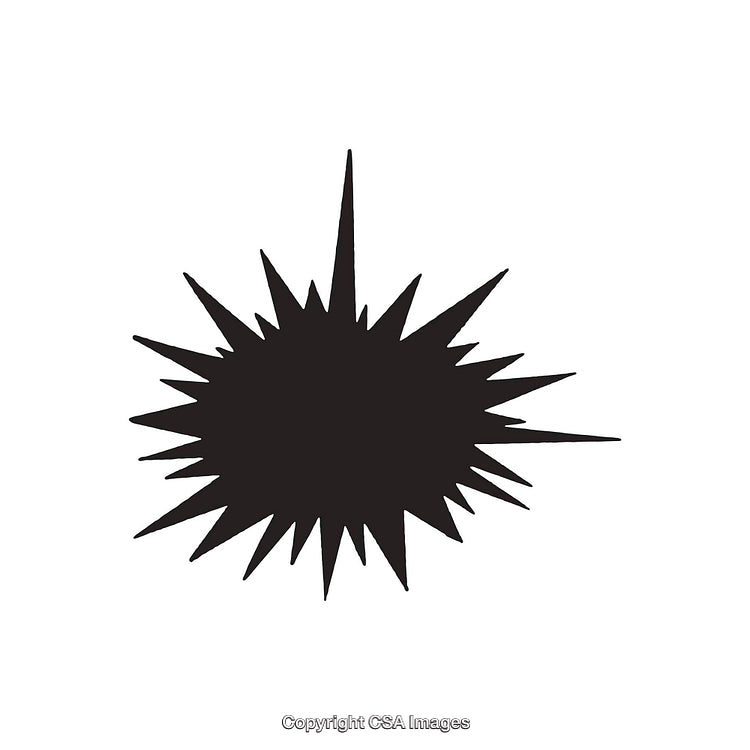 Black and White Abstract Irregular Star Shape on White Background