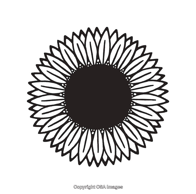 Black and White Sunflower Line Art with Petal and Center Details