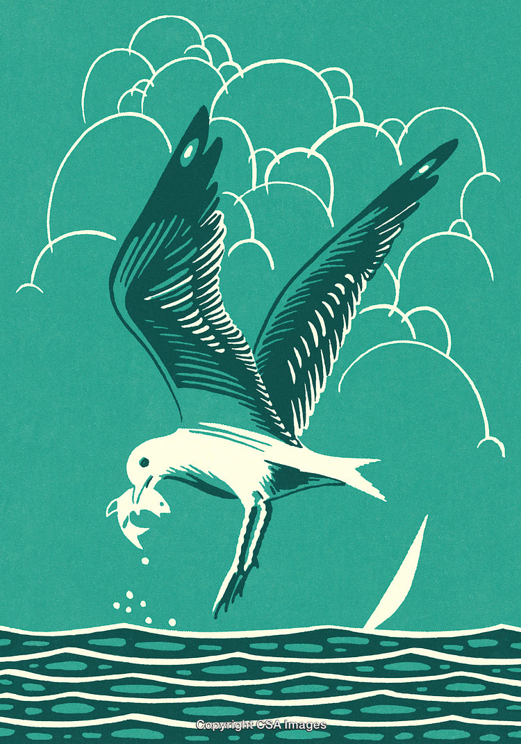 Artistic Illustration of a Seabird Catching a Fish Over the Ocean Waves