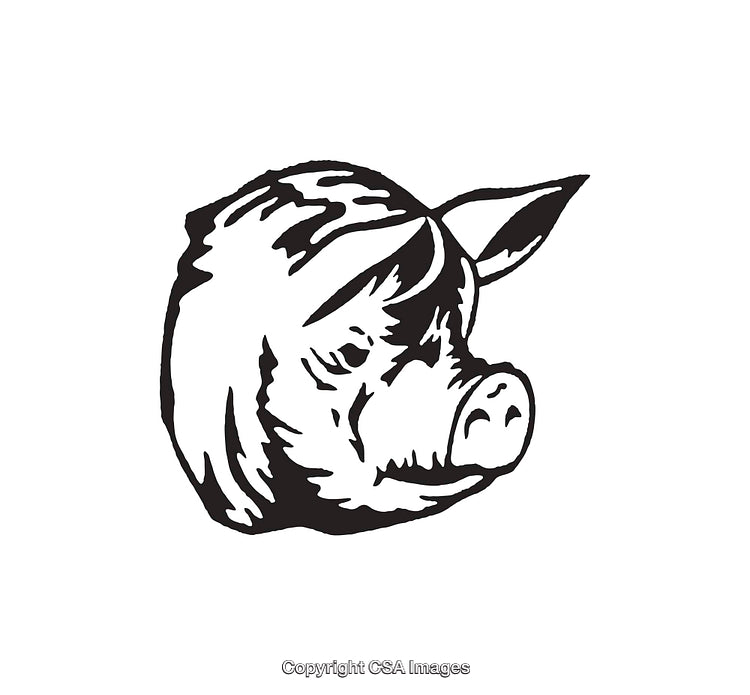 Black and White Line Art Illustration of a Pig's Head
