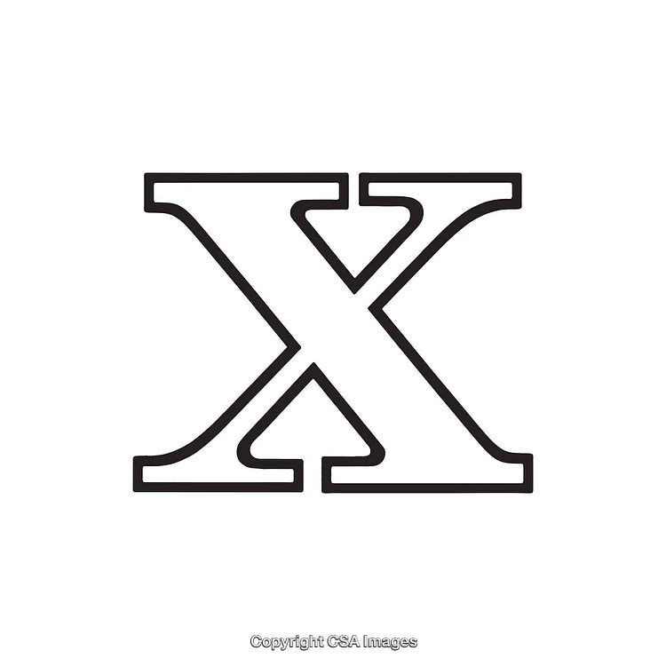 Elegant Monochrome Typeface Representation of the Letter X
