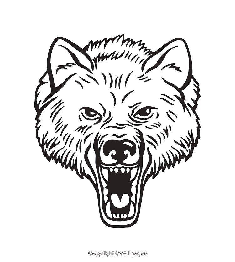Fierce Black and White Line Art Illustration of a Growling Wolf Head