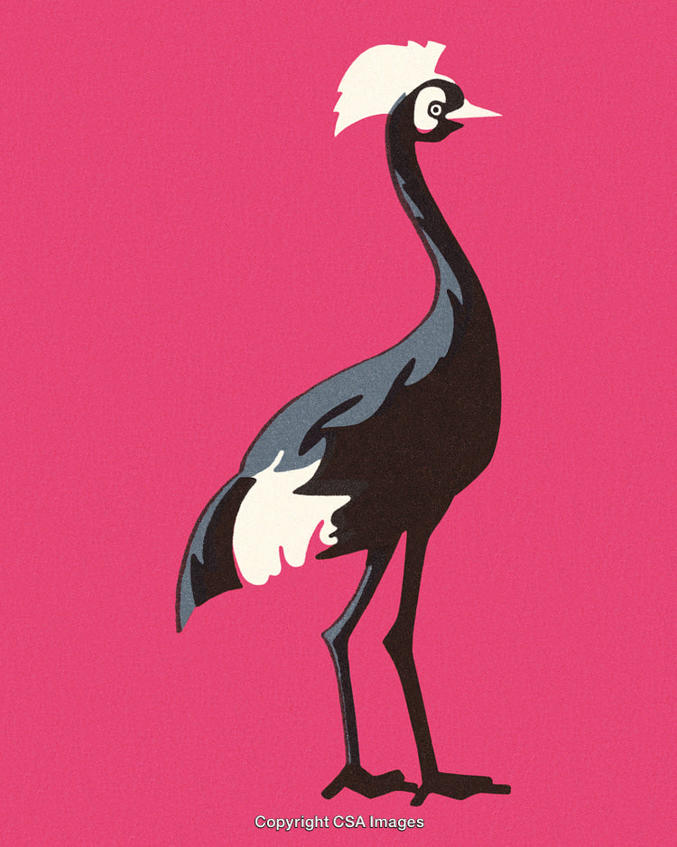 Stylized Illustration of a Crane on a Vibrant Pink Background