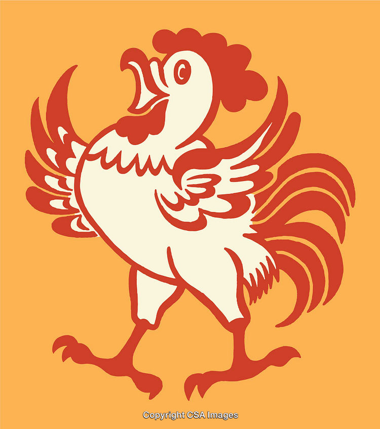 Colorful Rooster Illustration in Bold Line Art on Orange Background
