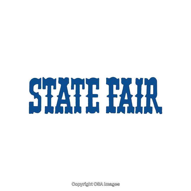 State Fair Text in Bold Blue Stylized Font on White Background