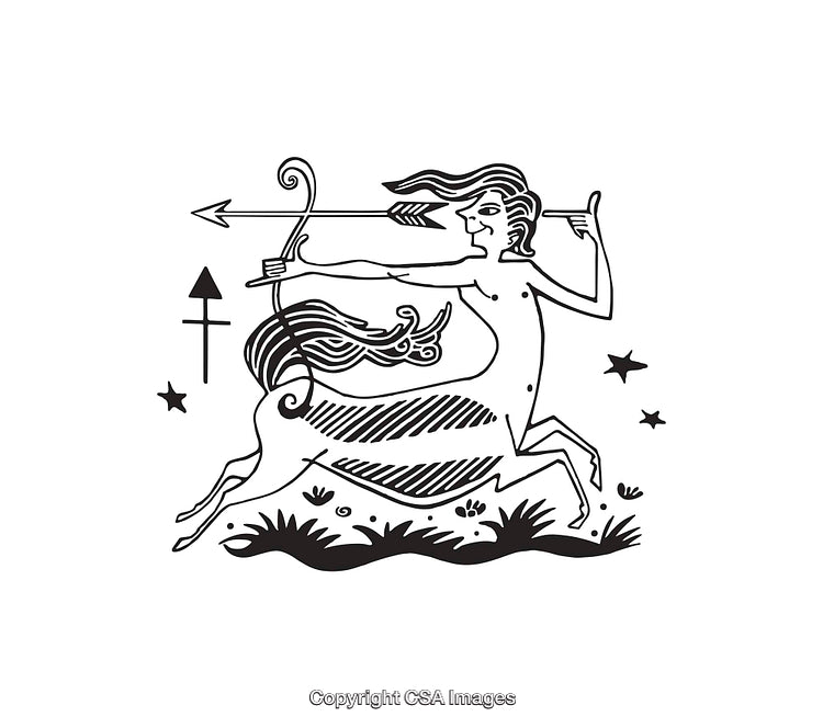 Sagittarius Zodiac Sign Line Art With Centaur Archer Illustration