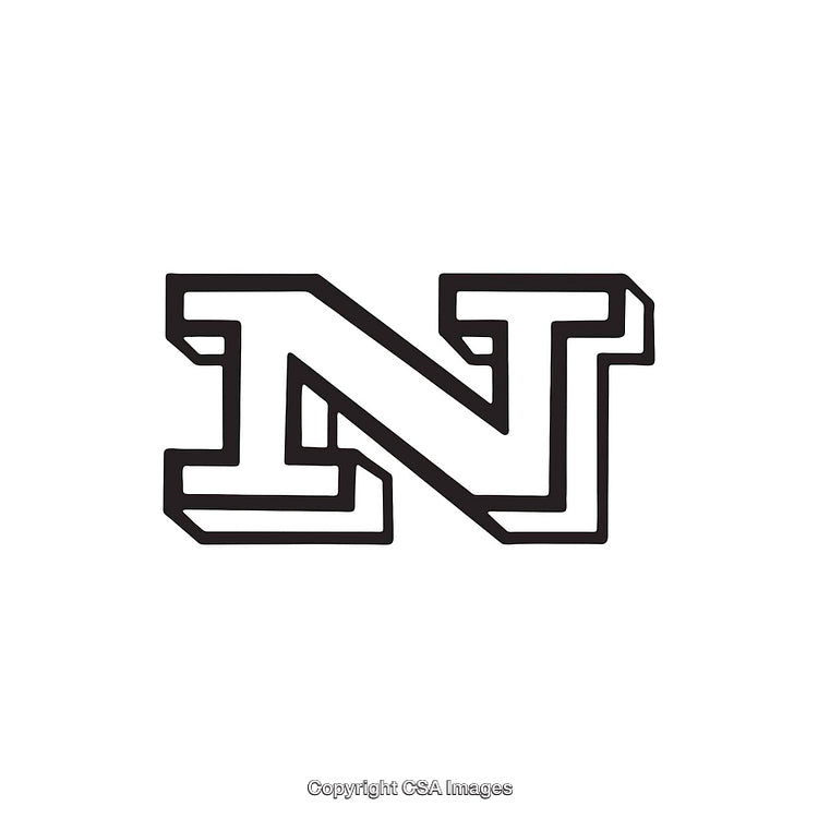Bold Black Outline Letter N on White Background
