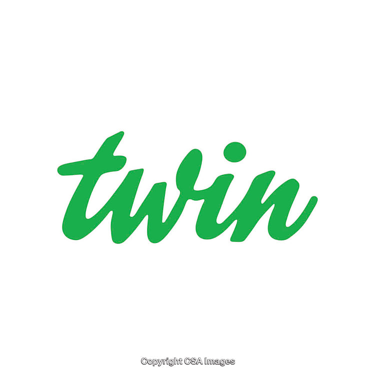 Green Script Text Reading 'Twin' on a White Background