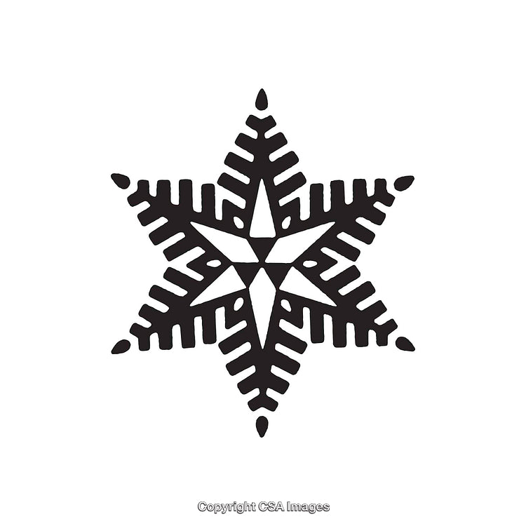 Geometric Black and White Star Shape with Detailed Patterns
