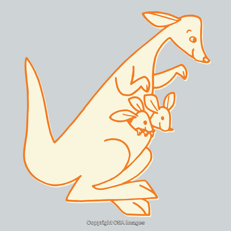 Cute Kangaroo Line Art Illustration with Joeys in Pouch