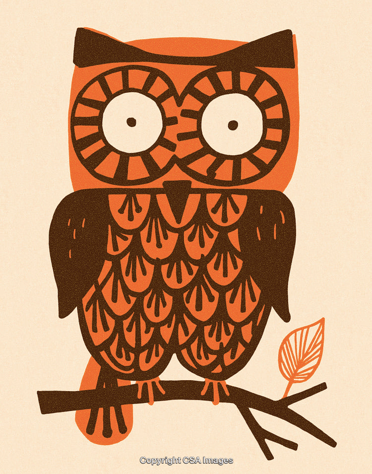 Retro Styled Illustration of an Owl Perched on a Branch with Geometric Patterns