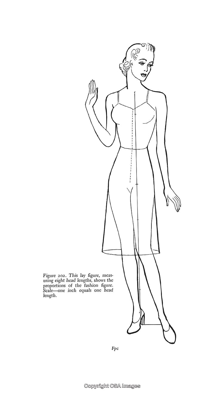 Fashion Illustration Depicting Proportions with Figure Anatomy Demonstration