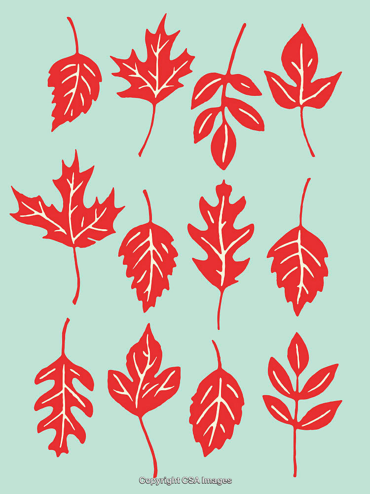 Red Leaf Illustrations on Light Green Background with Various Shapes
