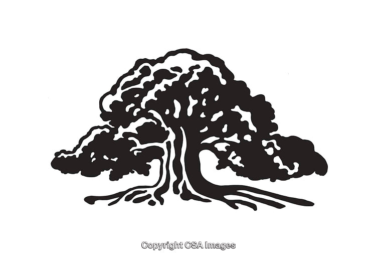 Black and White Line Art Illustration of a Flourishing Tree Design