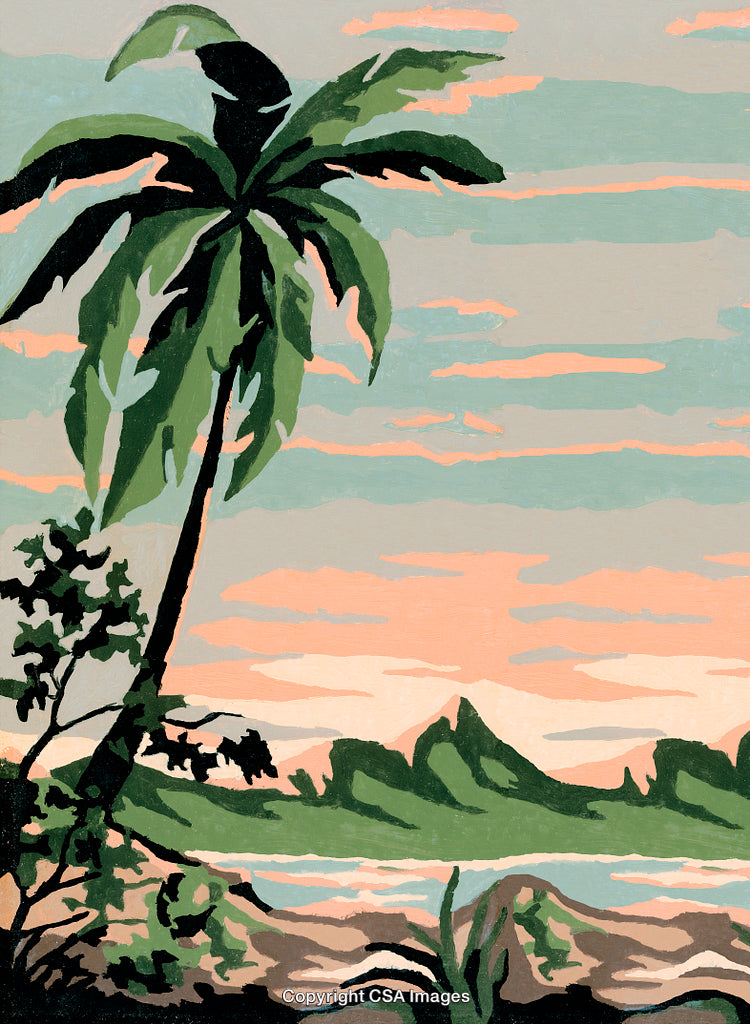 Scenic Tropical Landscape With Palm Tree and Serene Sunset