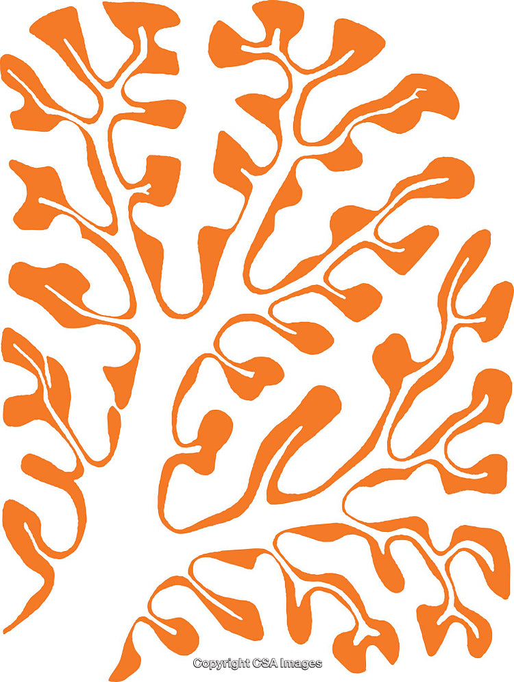 Abstract Orange Brain-Inspired Pattern Design on White Background