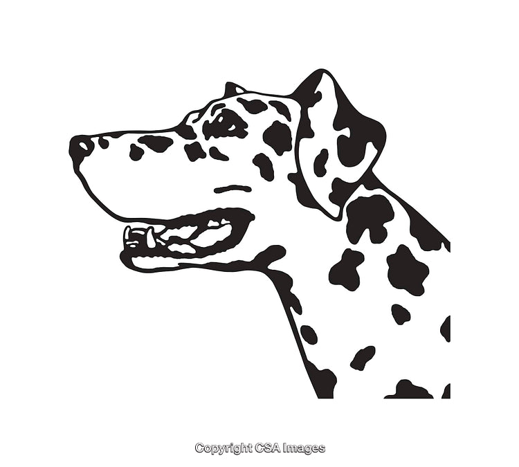 Black and White Line Art of Dalmatian Dog Side Profile Illustration