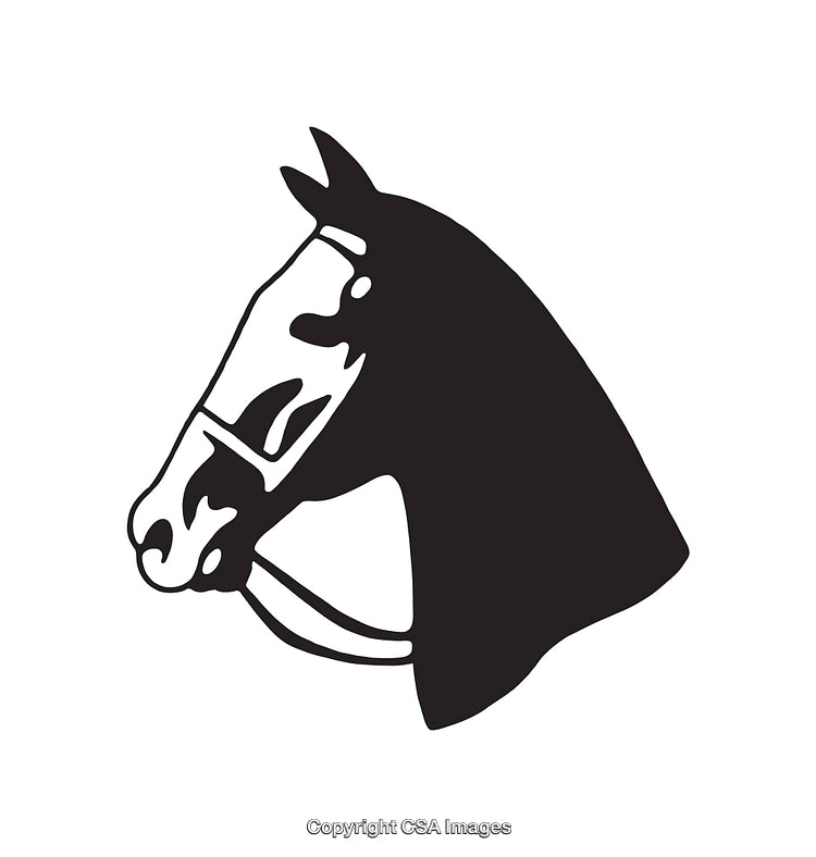 Elegant Black and White Illustration of a Horse Head Outline