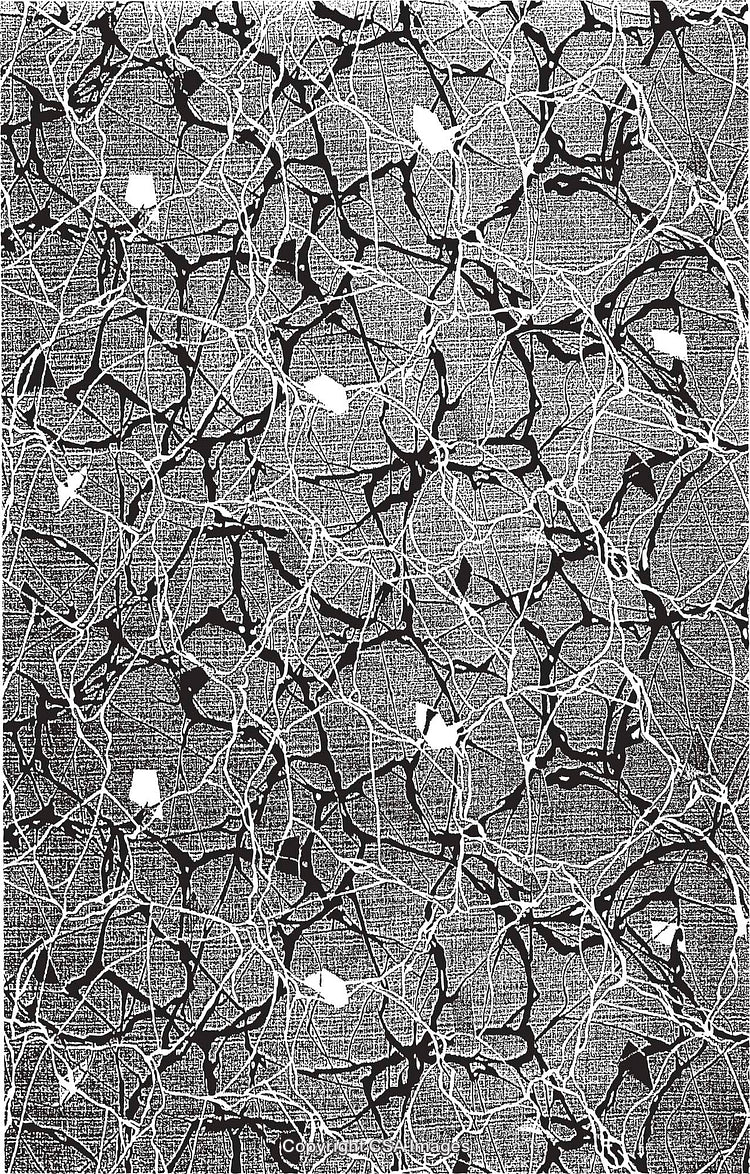Abstract Black and White Patterned Illustration With Intersecting Textured Lines