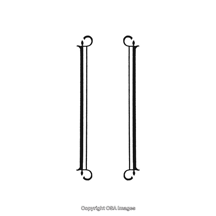 Elegant Black and White Vertical Ornamental Design