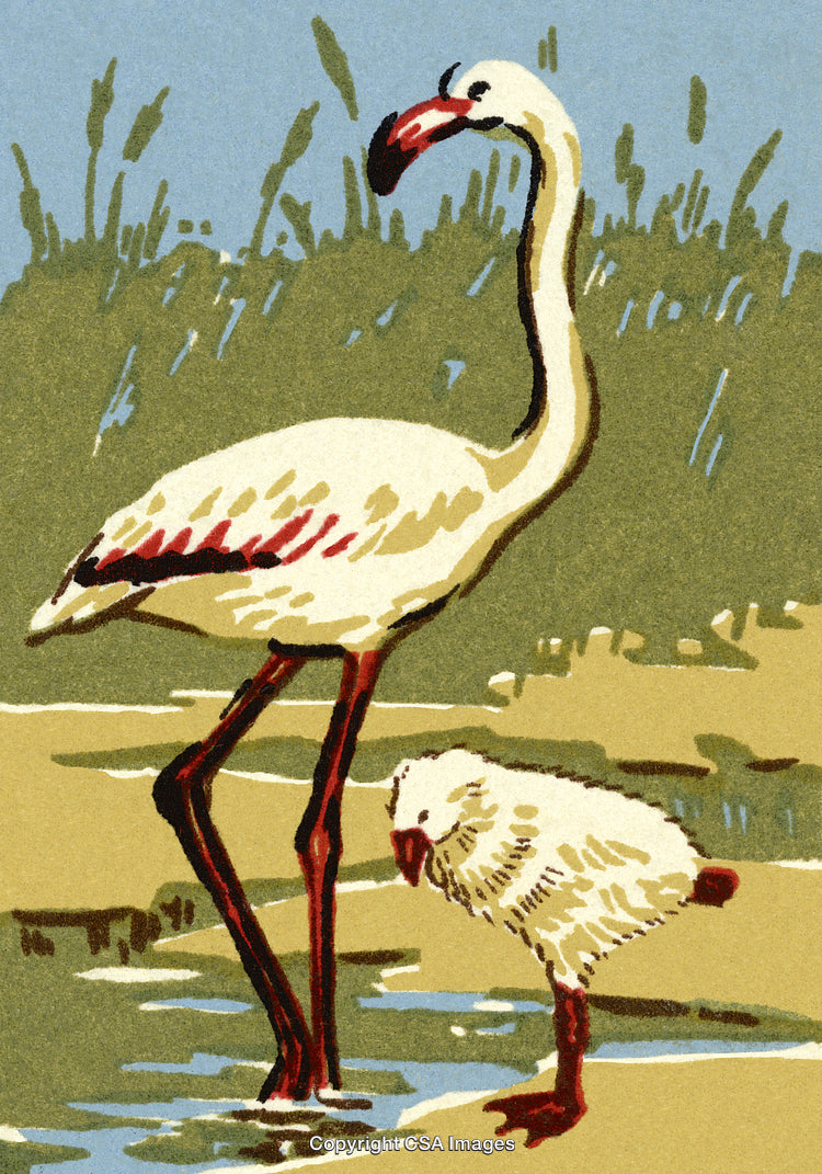 Elegant Flamingo and Chick at Wetlands in Illustrated Style