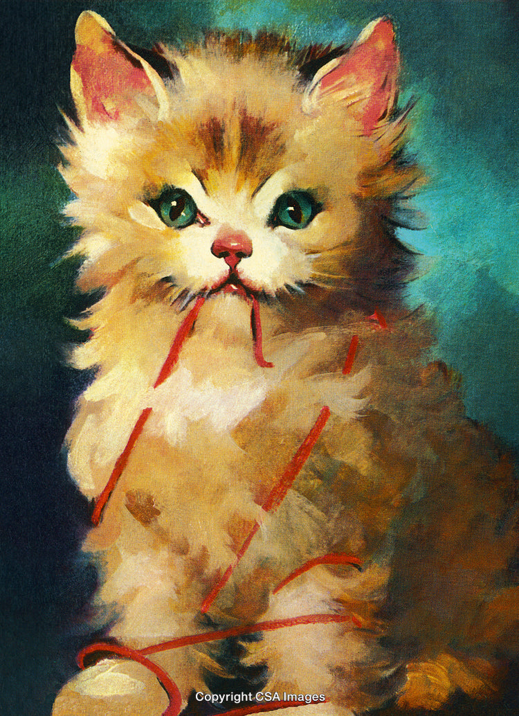 Adorable Fluffy Kitten Playing With Red Yarn Against a Colorful Backdrop