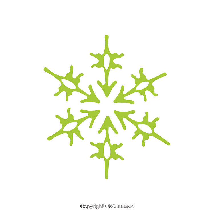 Green Decorative Snowflake Symbol With Abstract Design on White