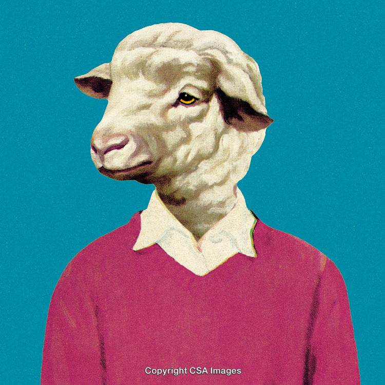 Humanlike Sheep Portrait in Sweater Against Blue Background Featuring Whimsical Style