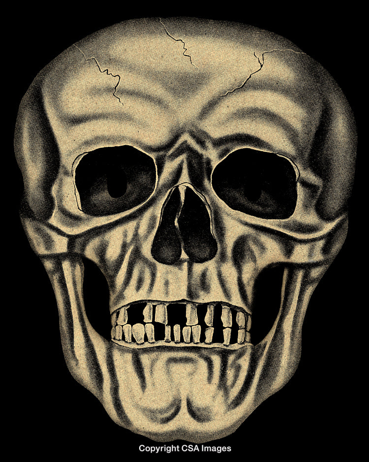 Vintage Monochrome Skull Illustration with Detailing and Cracks
