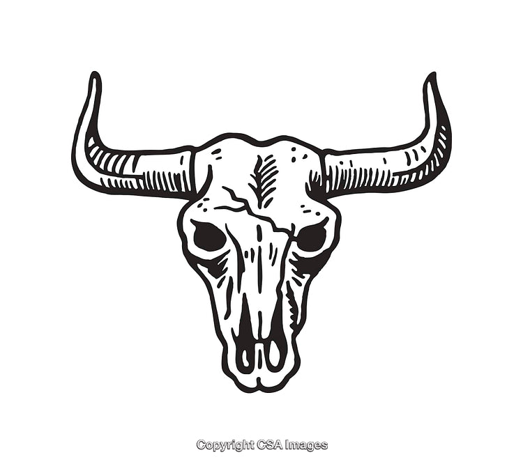 Detailed Black and White Illustration of a Bull Skull With Horns