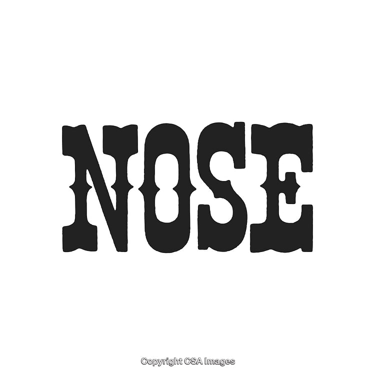 Creative Black Font Design Spelling the Word 'Nose' on White Background