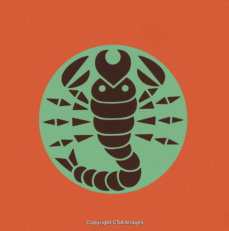 Graphic Illustration of a Stylized Scorpion in Bold Colors and Abstract Design