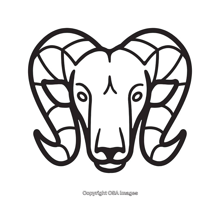 Black and White Line Art Illustration of a Ram Head