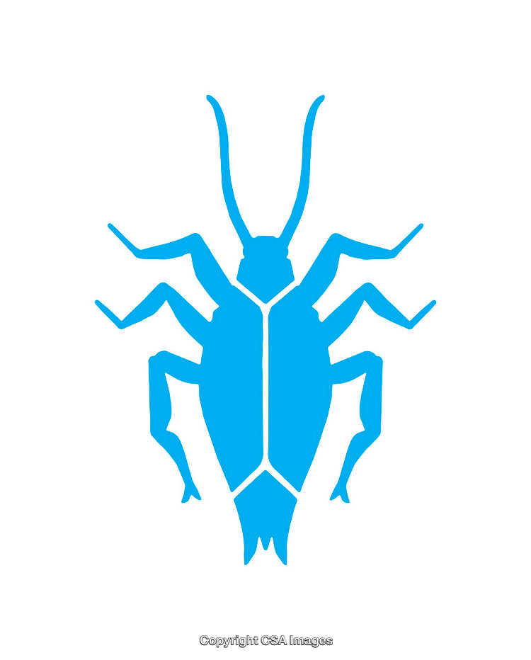 Blue Silhouette of an Insect in a Simple Graphic Design
