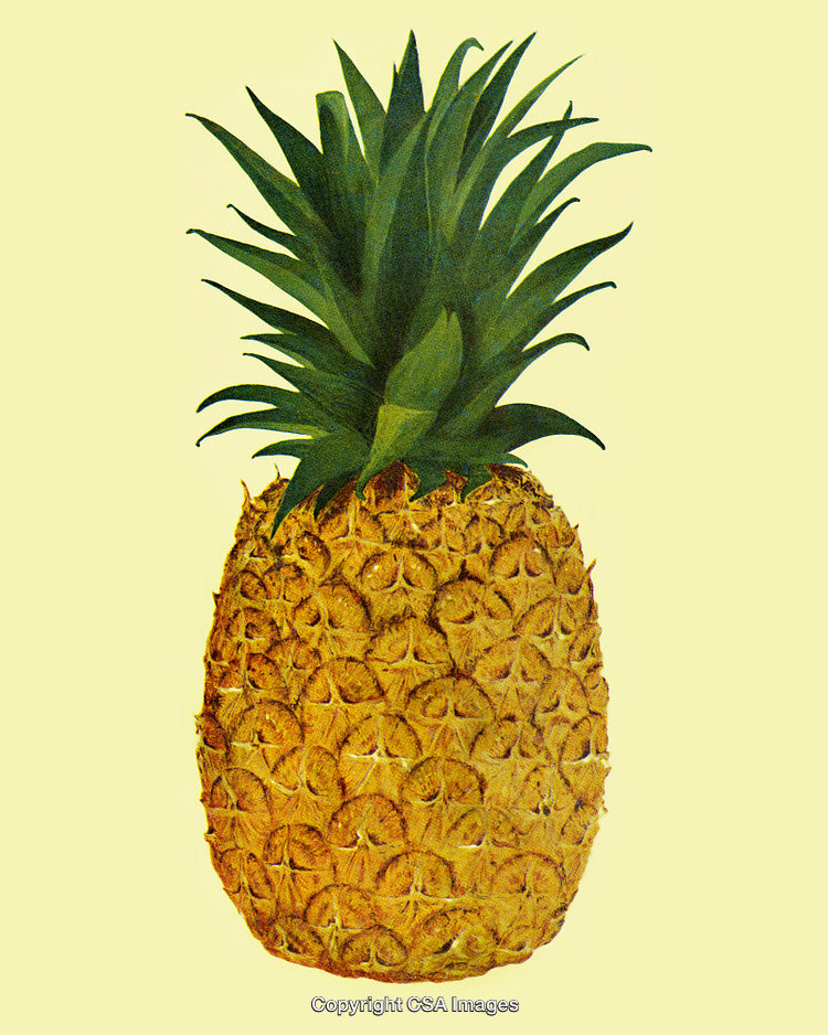 Fresh Pineapple with Green Top Against a Yellow Background