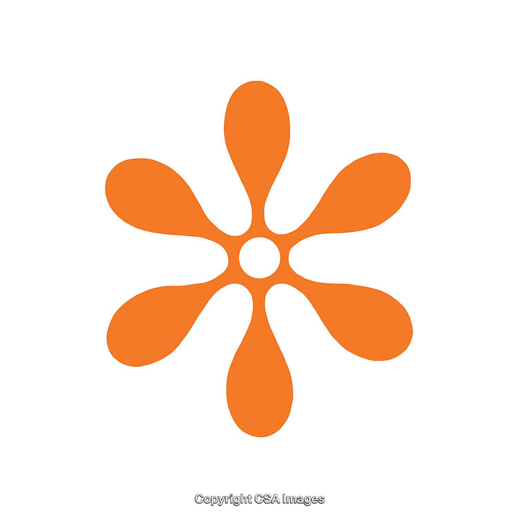Orange Floral Dingbat Shape with Petal-Like Symbols on White Background
