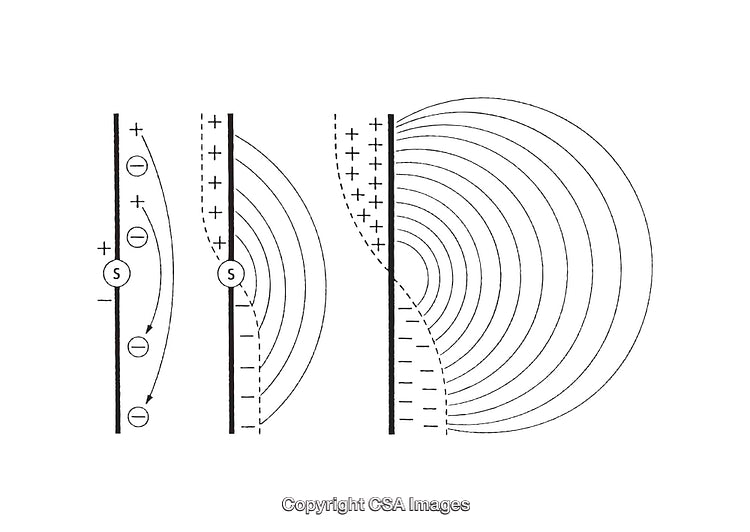 Black and White Scientific Diagram Illustrating Wave Transmissions and Polarization Patterns