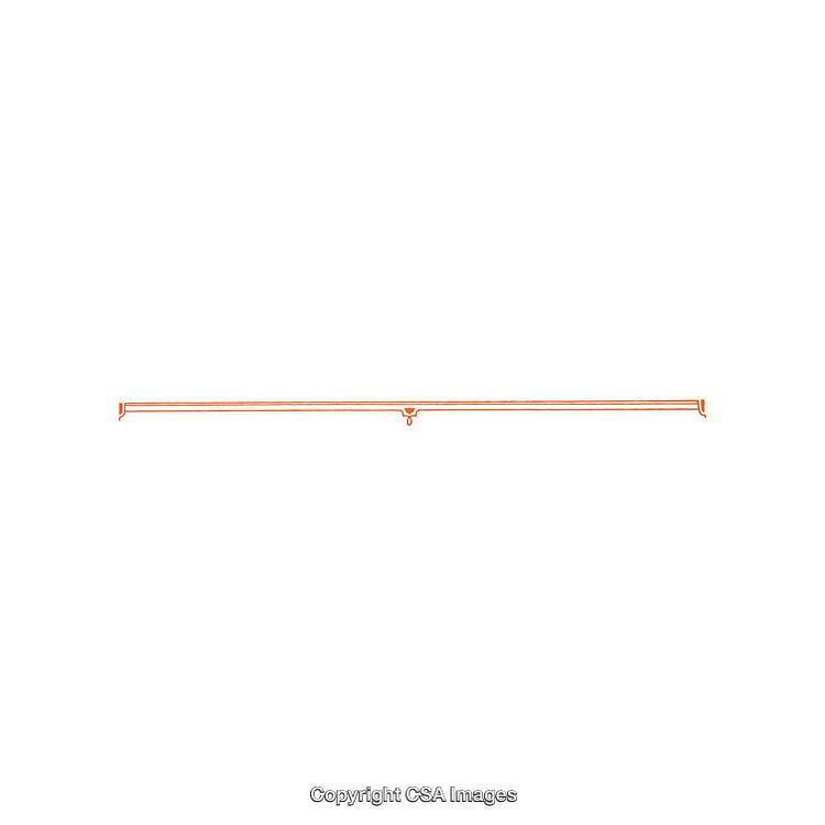 Elegant Minimalist Decorative Line Frame Style Design