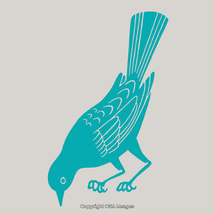 Minimalist Line Art Illustration of a Bird in Blue Hue
