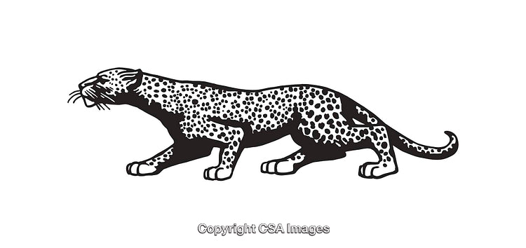 Black and White Line Art Illustration of a Leopard in Action Pose