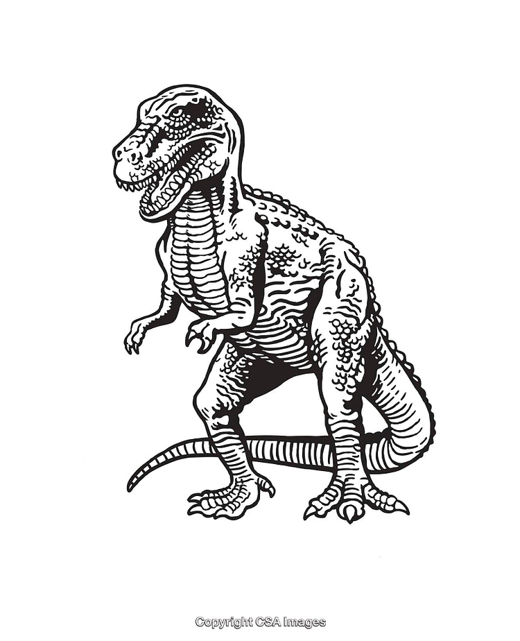 Detailed Black and White Dinosaur Line Art Illustration